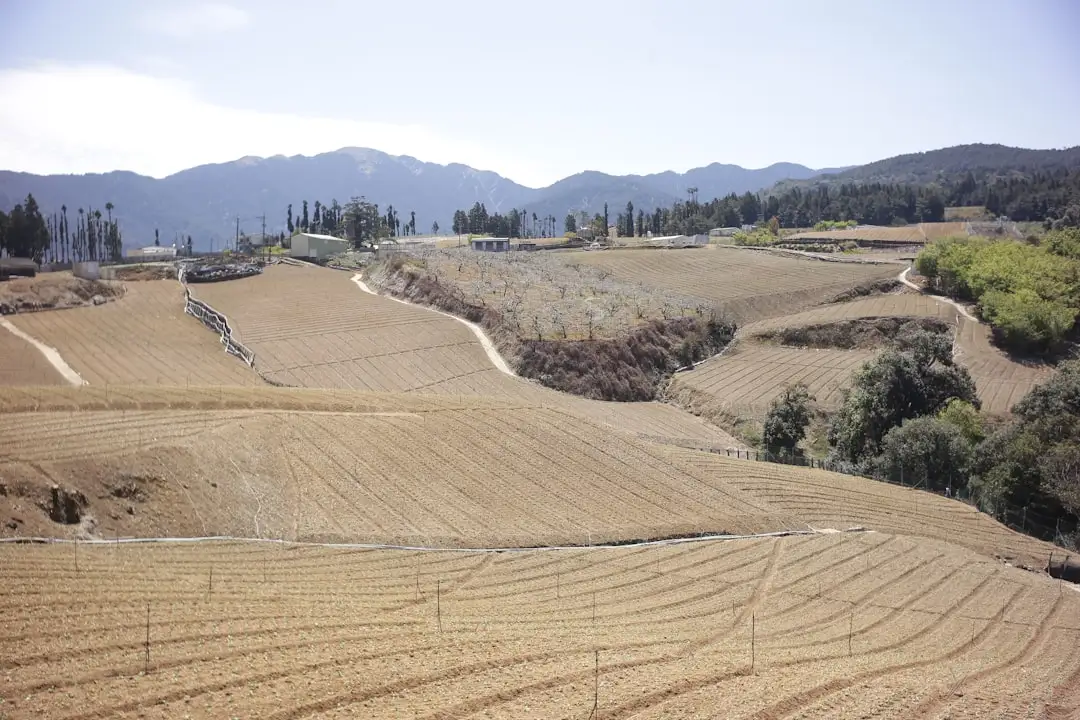 企业画册设计中的色彩应用技巧与品牌形象提升策略
